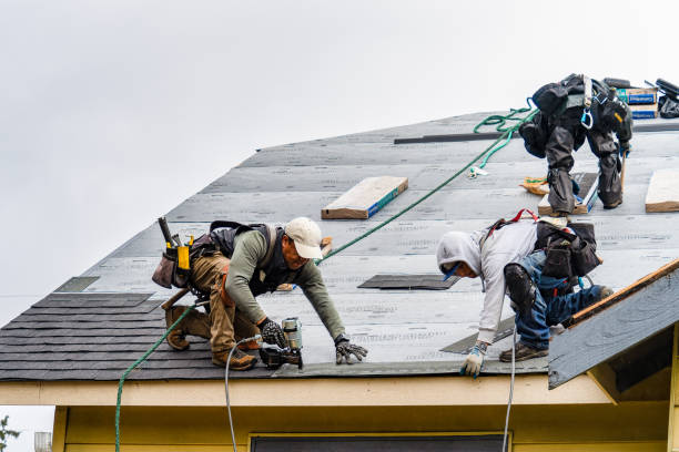 Professional Roofing technician working in Chapman, AL